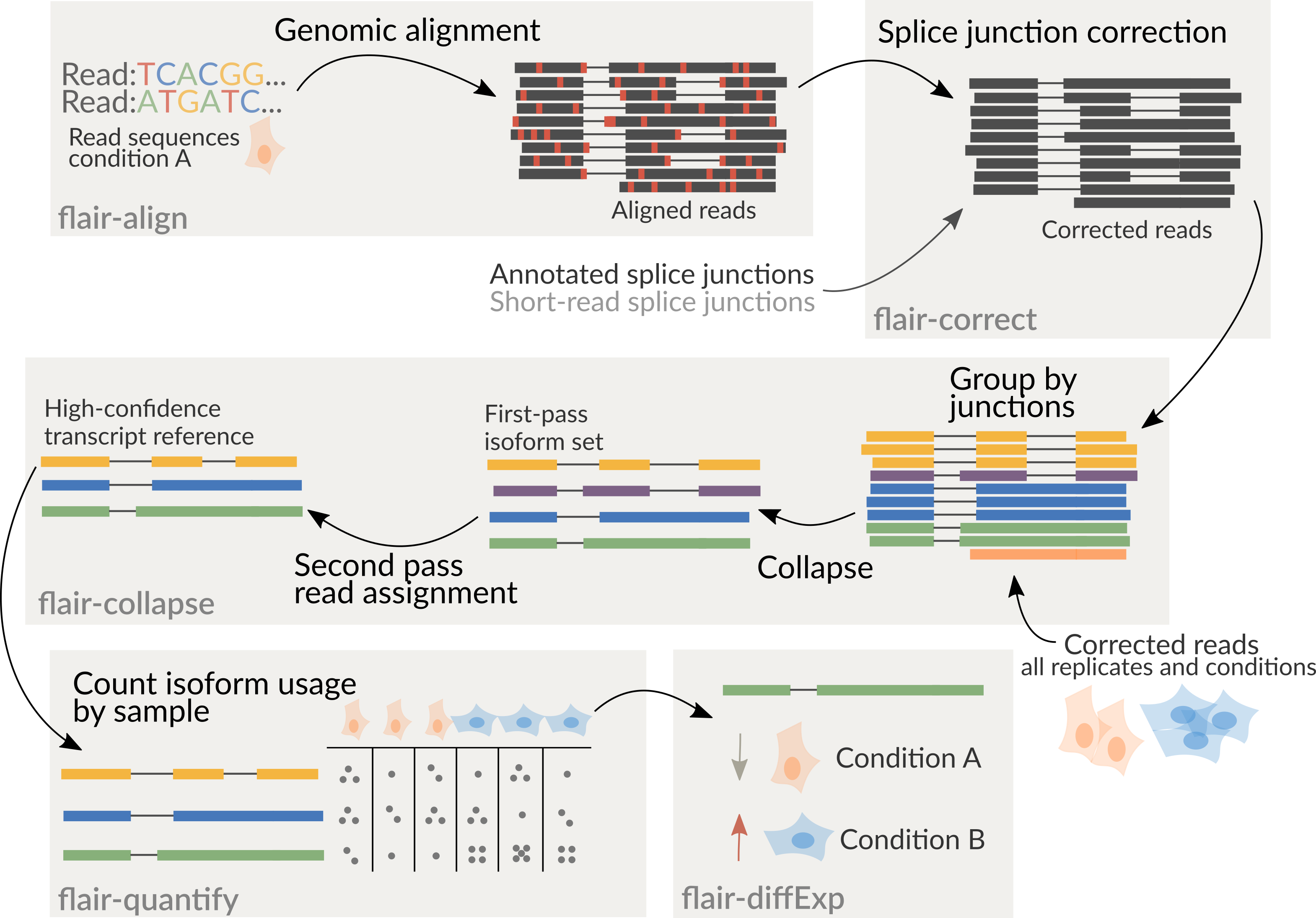 _images/flair_workflow_compartmentalized.png