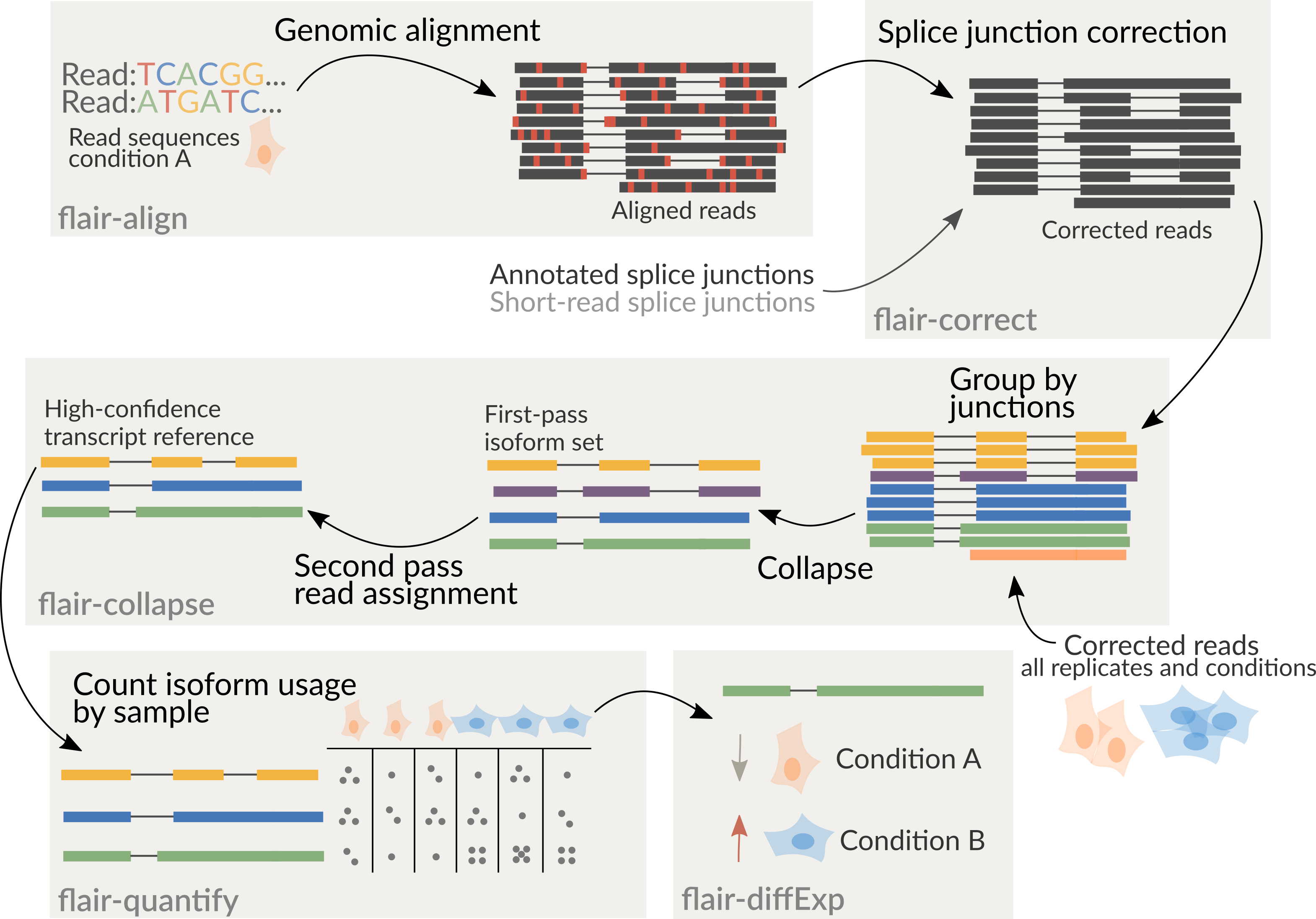 _images/flair_workflow_compartmentalized.png